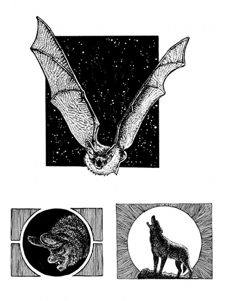 Fabian Fröhlich, Vampira, Kapitel-Vignetten