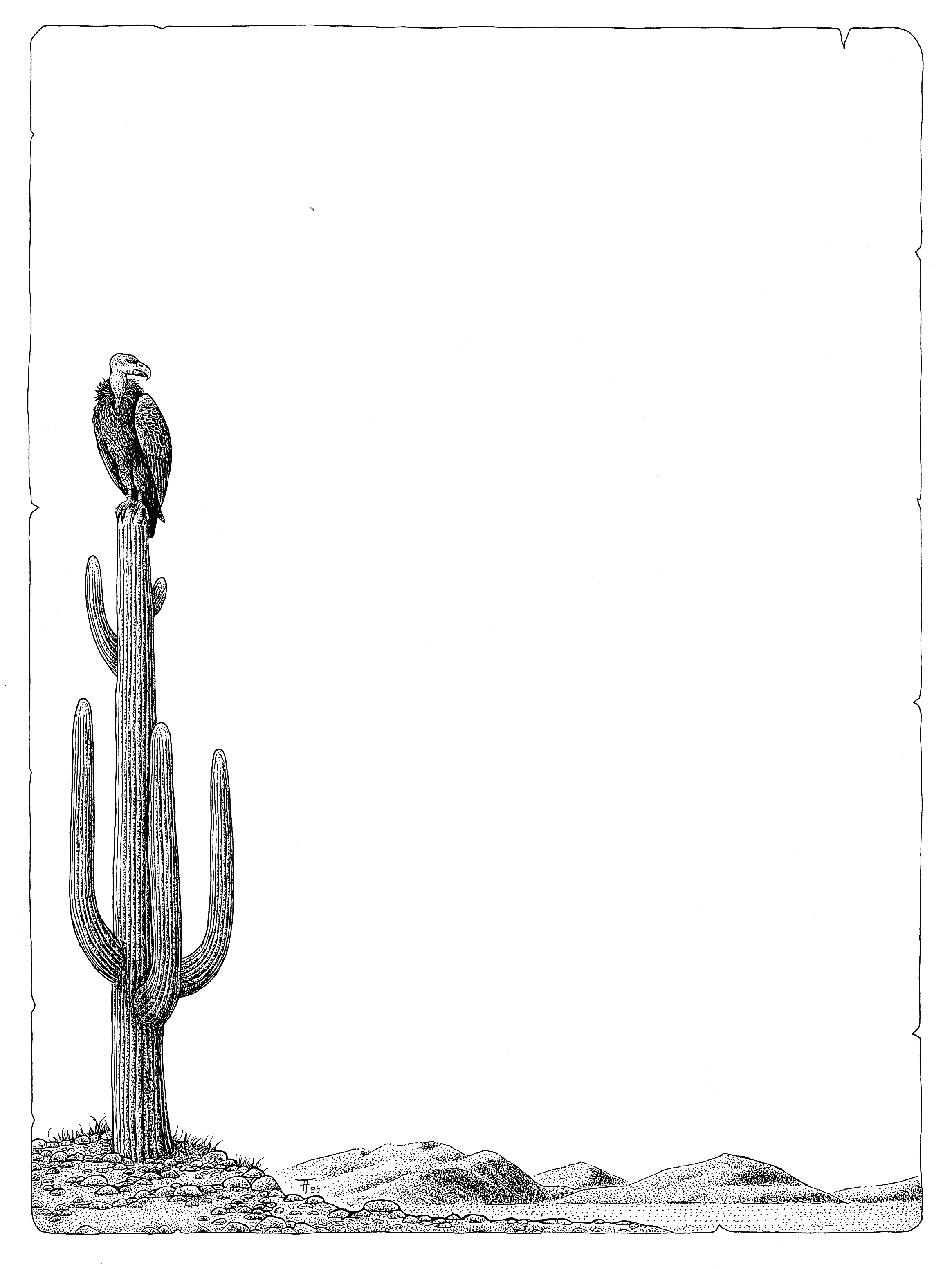 Amerika! Vorankündigungsseite